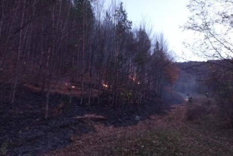 В Лорийской области сгорело около 15 гектаров лугов