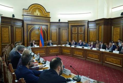 亚美尼亚-联合国联合指导委员会第一届会议在政府举行