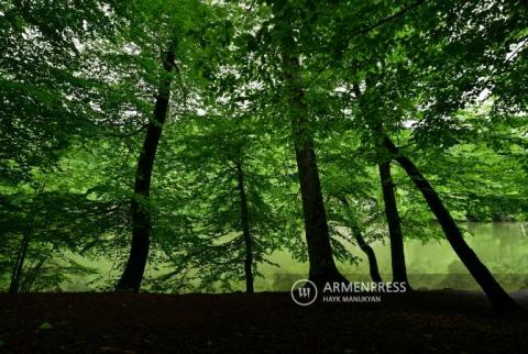 سويسرا ستستثمر  10 ملايين فرنك سويسري في مشروع ترميم الغابات لمدة 10 سنوات بأرمينيا