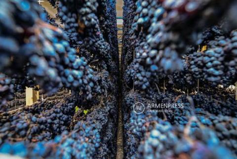 Международная организация виноградарства и виноделия метод «кахани» зарегистрирует как армянский