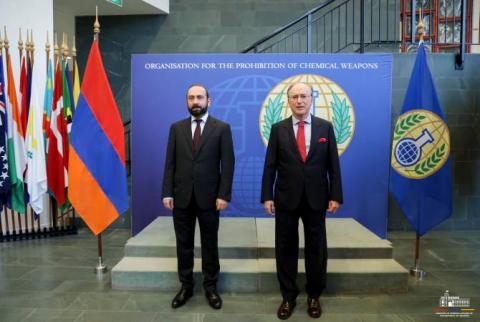 گفتگوی آرارات میرزویان و فرناندو آریاس در خصوص مسائل همکاری ارمنستان و سازمان منع سلاح‌های شیمیایی 