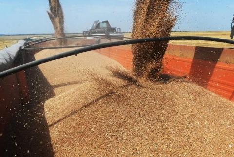 Премьер Польши заявил, что украинское зерно больше не является проблемой