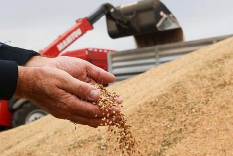 Пять стран ЕС призывают Брюссель запретить импорт российского и белорусского зерна