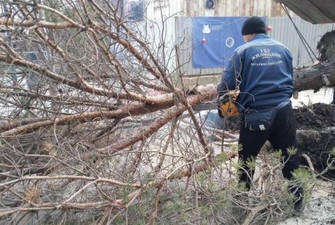 В Москве из-за непогоды погибли 2 человека, пострадали 15