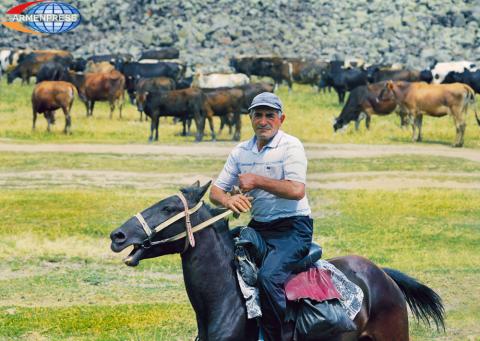 Vache Gevorgyan - I love my land