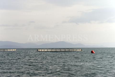 Sevan Aqua CJSC's network-cage economy