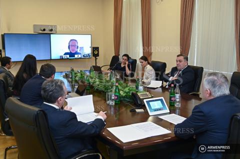 Armenian government holds videocall with EU Neighborhood 
and Enlargement Commissioner 