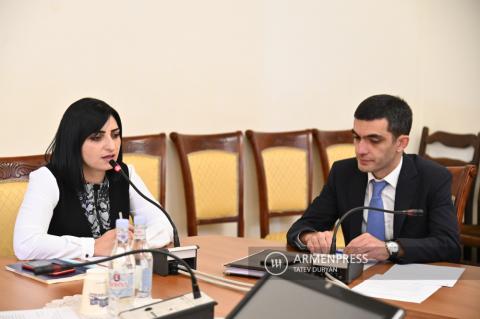 Session of parliamentary standing committee on human rights 
protection and public affairs, attended by Artsakh's Permanent 
Representative to Armenia
