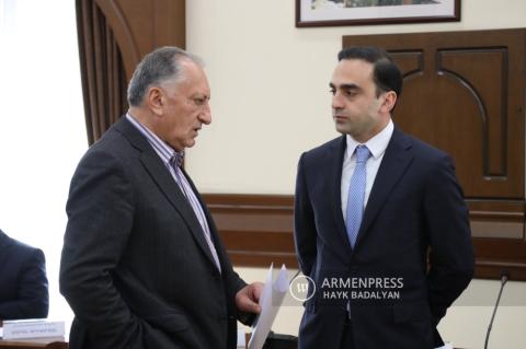Yerevan City Council meeting 