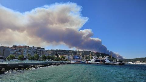Транзит судов через Дарданеллы ограничили из-за лесного пожара