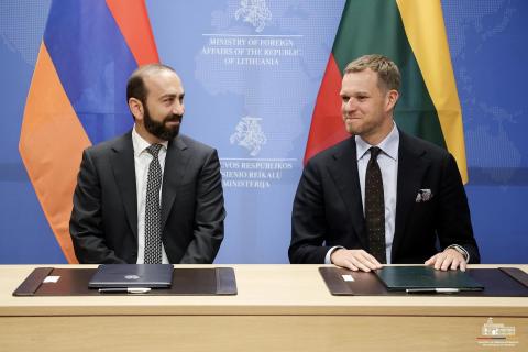 Армения высоко ценит поддержку Литвы в ликвидации последствий наводнения на севере страны: глава МИД РА