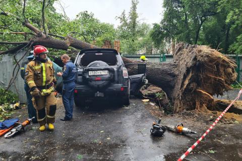 Severe storm in Moscow claims two lives