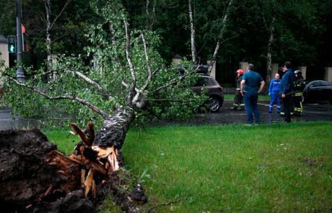 Сильный ветер повалил деревья и повредил конструкции в Москве, есть одна жертва