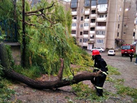 埃里温和地区因风而遭受了一些破坏