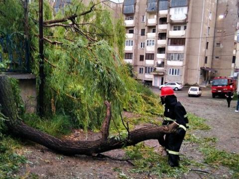 Más de 50 alarmas en el Servicio de Rescate por consecuencia del viento fuerte