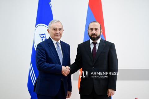 在亚美尼亚共和国外交部举行了阿拉拉特·米尔佐扬部长与拉扎尔·科马内斯库的会晤