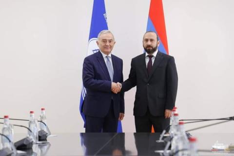 Foreign Minister Mirzoyan holds meeting with Secretary General of BSEC