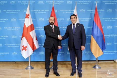 Глава МИД Армении и спикер парламента Грузии обсудили вопросы двусторонней повестки и регионального развития