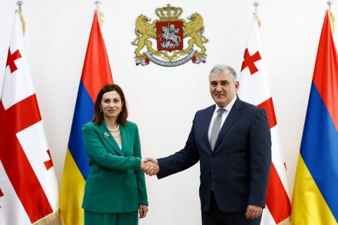 Health Ministers of Armenia and Georgia hold meeting