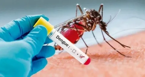 L'OMS annonce un risque élevé de propagation de la dengue en Iran
