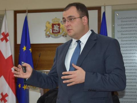 Le ministre de la Justice de Géorgie a exprimé sa conviction qu'Ivanichvili pourrait devenir le meilleur président de l'histoire du pays