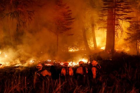 Անտառային հրդեհներ Կալիֆոռնիայում. այրվել է ավելի քան 370 հազար դեկար անտառածածկ տարածք