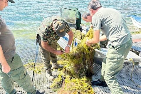 Սևանա լճից դուրս են բերվել ապօրինի տեղադրված խեցգետնաորսիչներ և ձկնորսական ցանցեր