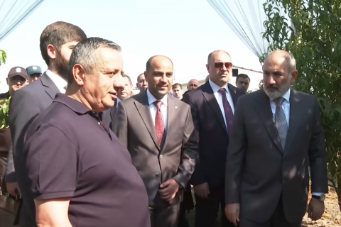 Primer ministro de Armenia visitó un campo intensivo financiado por el gobierno en la región de Ararat