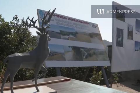 Construcción de carretera de 1,6 kilómetros hacia la estatua de Yeghnik en Jermuk