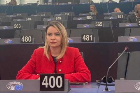 Building social resilience is key to tackling harmful propaganda, says Armenian delegate at PACE