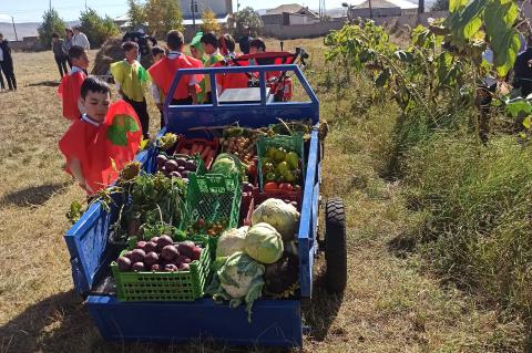 Գանձակի թիվ 2 միջնակարգ դպրոցի տարածքում հիմնադրված ինտենսիվ այգին առաջին բերքն է տվել