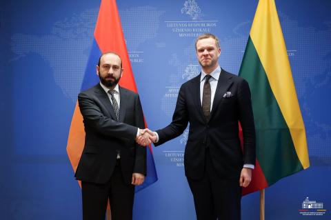 Ararat Mirzoyan agradeció al ex canciller de Lituania por fortalecer la cooperación entre ambos países