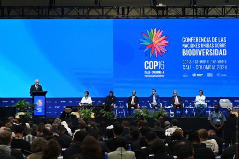 President congratulates foreign minister, environment minister after COP17 vote