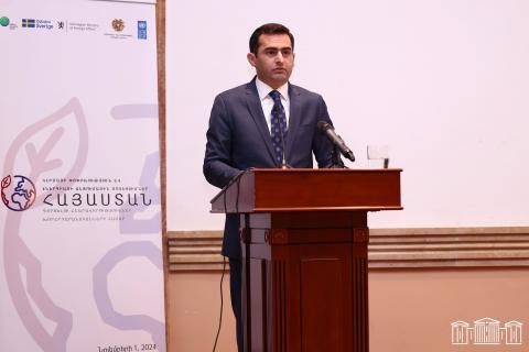 We must work collaboratively to build a sustainable energy future for Armenia - Deputy Speaker