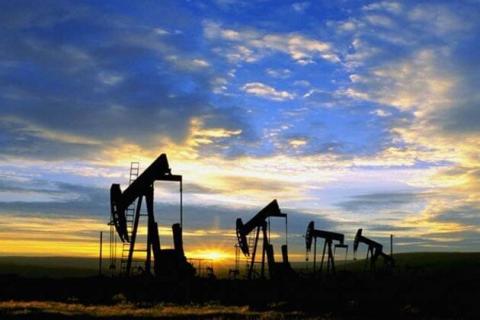 Oil Prices Down - 01/11/24