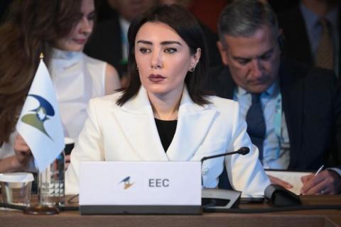 Armenia’s Crossroads of Peace project can fundamentally change the situation in entire region, says EEC minister