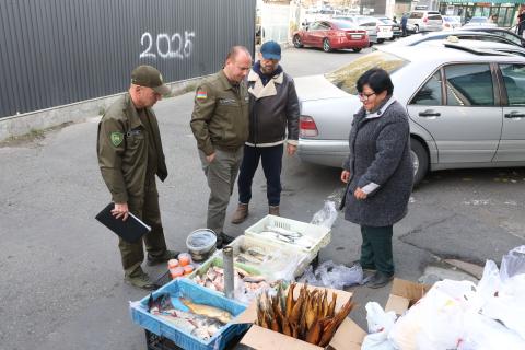 Սիգի ձվադրման շրջանում ՀՀ բնապահպանության և ընդերքի տեսչական մարմինն ուժեղացված ստուգայցեր է կատարել մայրաքաղաքի վաճառակետերում