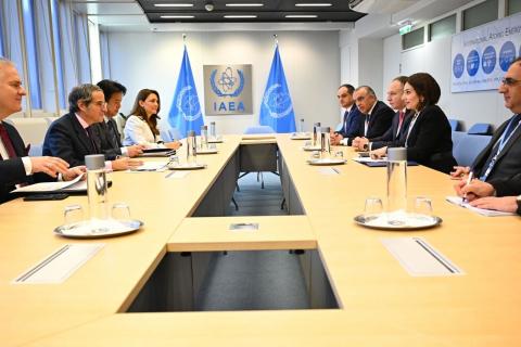 Armenian Healthcare Minister meets with IAEA Director General Rafael Grossi