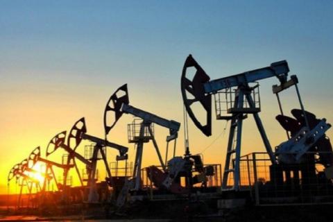 Oil Prices Down - 02/12/24