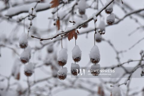 Атмосферный холодный фронт вторгнется в Армению уже вечером. Суренян представляет прогноз погоды