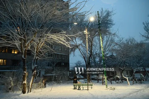 Այդպես էլ որևէ բնակիչ և որևէ համատիրություն նորմալ ձեռնամուխ չեղավ շքամուտքերի դիմացի հատվածները մաքրելու․ Արեյան