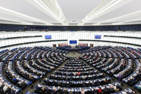 Armenia deserves credit, Azerbaijan should seize historic opportunity to end  conflict - MEPs