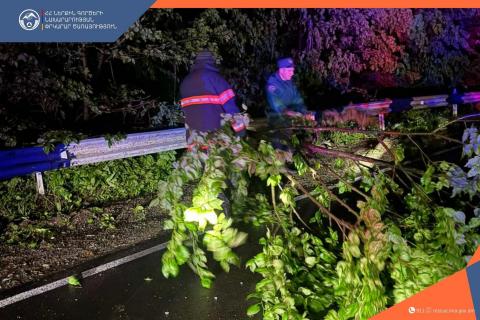 Փրկարարները Դսեղ գյուղ տանող կամրջի մոտակայքում մասնատել և հեռացրել են ճանապարհը միակողմանի փակած ծառը