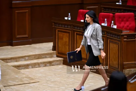 Ոստիկանության կողմից անհամաչափ ուժի կիրառման հարցը մինչ օրս մնում է լուրջ մարտահրավեր․ ՄԻՊ