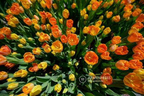 Russia might ban flower imports through Armenia