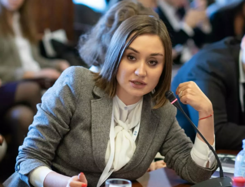 Ռուս փորձագետը կարծում է, որ Ռուսաստանը Հարավային Կովկասում իր քաղաքականության մեջ որոշ սխալներ է թույլ տվել