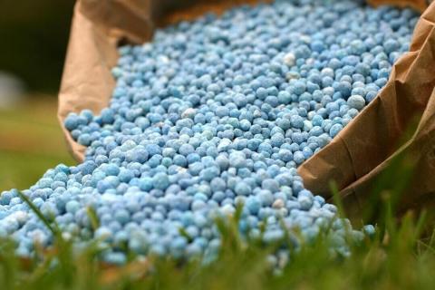 ЕС утвердил пошлины на сельхозпродукцию и удобрения из России и Беларуси