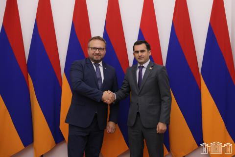 Вице-спикер НС Армении и вице-премьер Чехии обсудили ряд вопросов сотрудничества