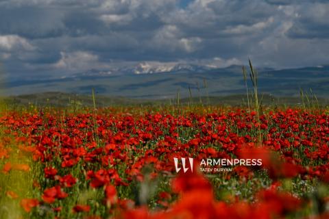 В Армении ожидаются кратковременные дожди, температура воздуха понизится на 2-4 градуса
