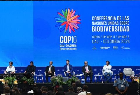 ՇՄ նախարարությունը COP-17 համաժողովի կազմակերպման համար համագործակցության է հրավիրում փորձառու կազմակերպությունների